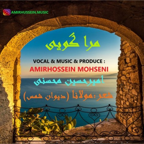 دانلود آهنگ امیر حسین محسنی مرا گویی